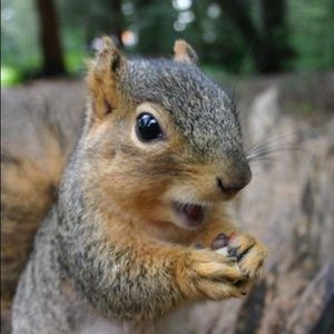 Meet your Posher, Antonio